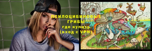 эйфоретик Алексин