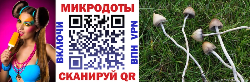 Галлюциногенные грибы GOLDEN TEACHER Щучье